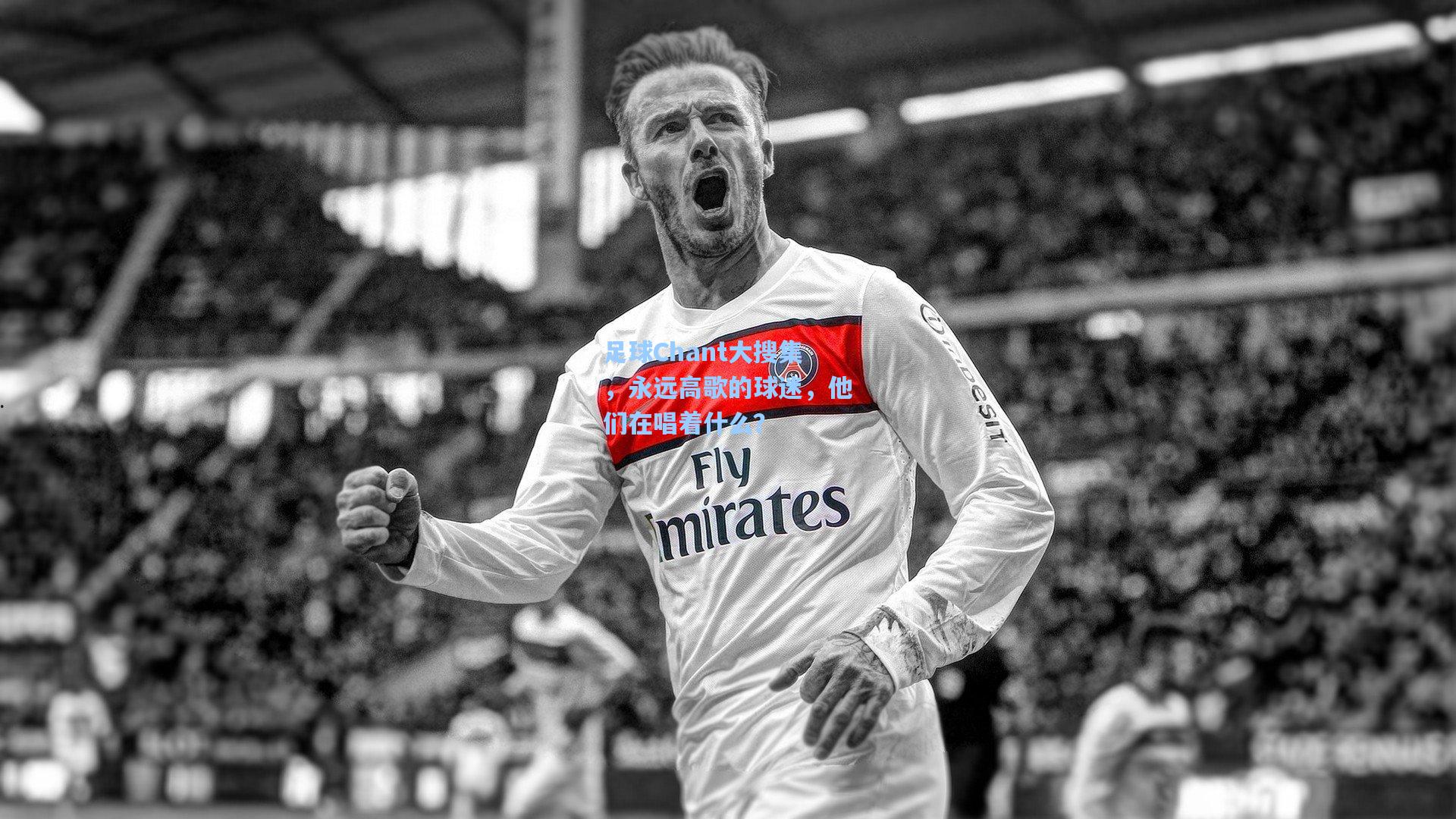 足球Chant大搜集，永远高歌的球迷，他们在唱着什么？